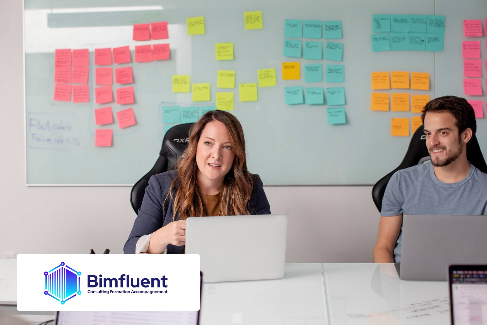 BIMFLUENT